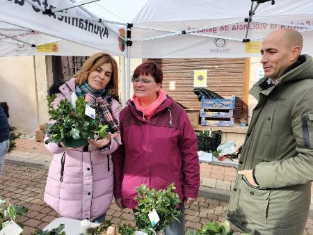Imagen La provincia de Segovia celebra el puente de diciembre con la Feria del Acebo de Prádena y un amplio programa festivo y navideño en los...