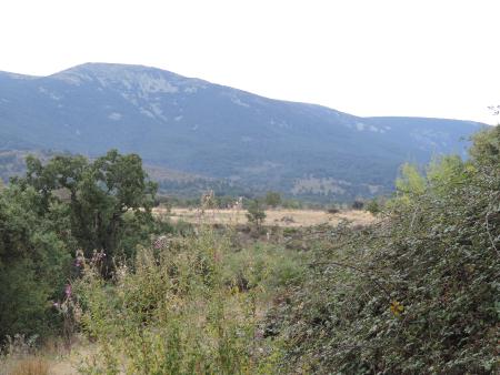 Imagen ALDEALENGUA DE PEDRAZA