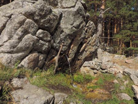 Imagen Prehistoria