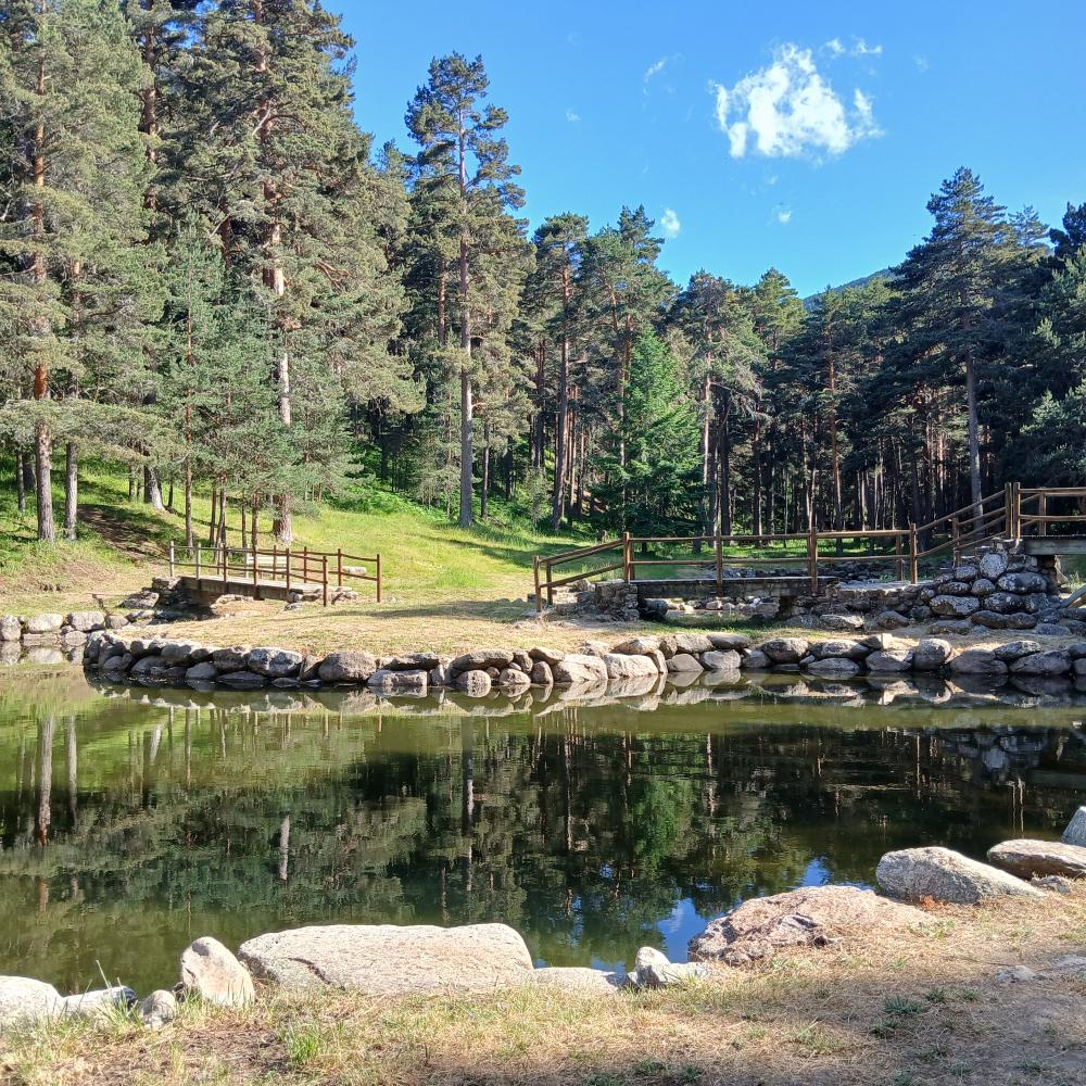 Imagen Medioambiente