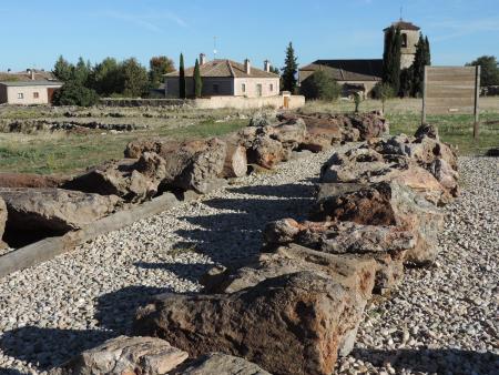 Imagen Parque Geológico de los Troncos Fósiles